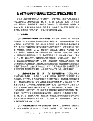 公司党委关于抓基层党建工作情况的报告