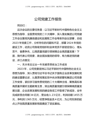 公司党建工作报告