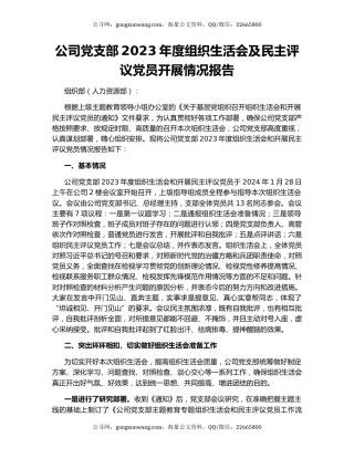 公司党支部2023年度组织生活会及民主评议党员开展情况报告