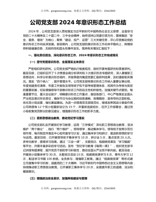 公司党支部2024年意识形态工作总结