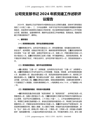 公司党支部书记2024年抓党建工作述职评议报告
