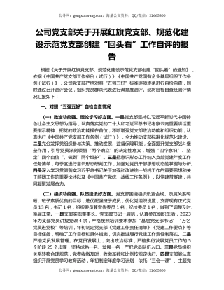 公司党支部关于开展红旗党支部、规范化建设示范党支部创建“回头看”工作自评的报告