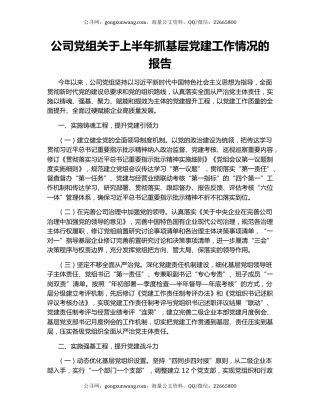 公司党组关于上半年抓基层党建工作情况的报告