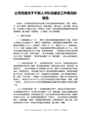 公司党组关于干部人才队伍建设工作情况的报告