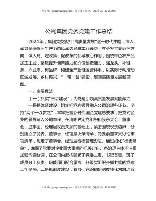 公司集团党委党建工作总结