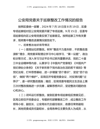 公安局党委关于巡察整改工作情况的报告