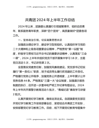 共青团2024年上半年工作总结