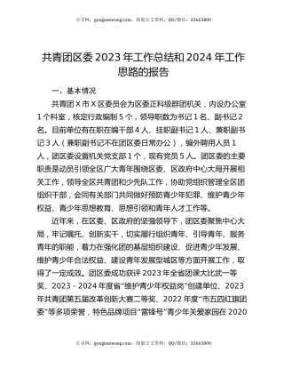 共青团区委2023年工作总结和2024年工作思路的报告