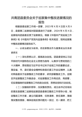 共青团县委员会关于巡察集中整改进展情况的报告