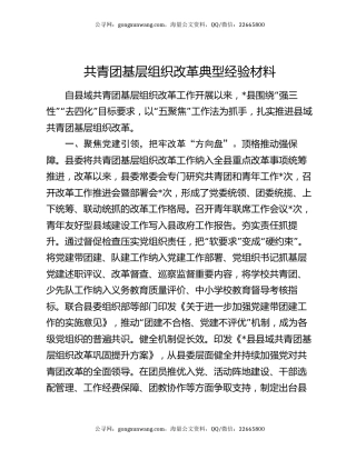 共青团基层组织改革典型经验材料
