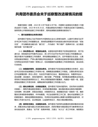 共青团市委员会关于巡察整改进展情况的报告