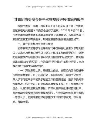 共青团市委员会关于巡察整改进展情况的报告（2）