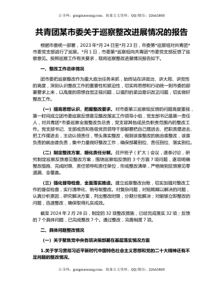 共青团某市委关于巡察整改进展情况的报告