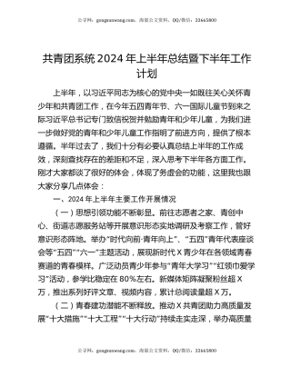 共青团系统2024年上半年总结暨下半年工作计划