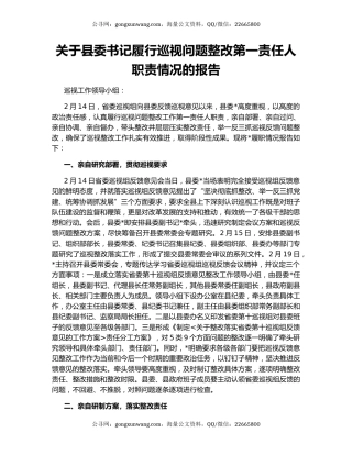 关于县委书记履行巡视问题整改第一责任人职责情况的报告