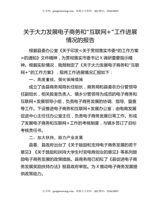 关于大力发展电子商务和“互联网+”工作进展情况的报告