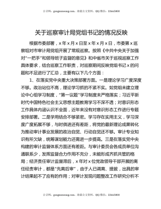 关于巡察审计局党组书记的情况反映