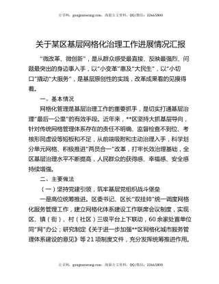 关于某区基层网格化治理工作进展情况汇报
