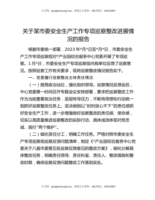关于某市委安全生产工作专项巡察整改进展情况的报告