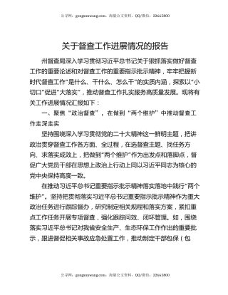 关于督查工作进展情况的报告