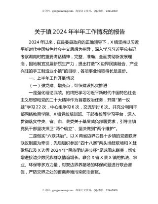 关于镇2024年半年工作情况的报告
