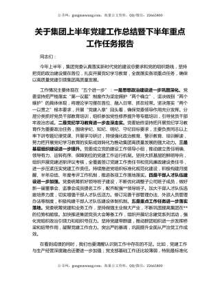 关于集团上半年党建工作总结暨下半年重点工作任务报告