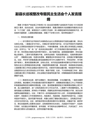 副县长巡视整改专题民主生活会个人发言提纲