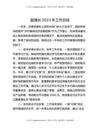 副镇长2023年工作总结