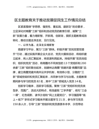 区主题教育关于推动发展促民生工作情况总结