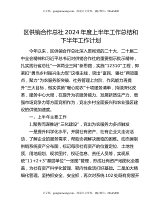 区供销合作总社2024年度上半年工作总结和下半年工作计划