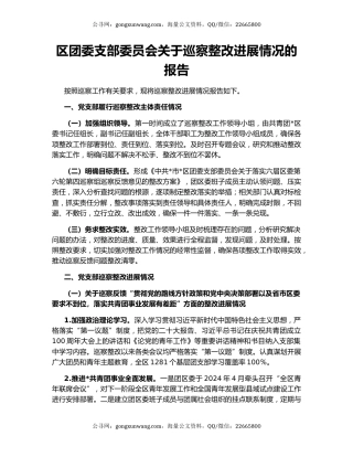 区团委支部委员会关于巡察整改进展情况的报告