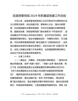 区国资委党组2024年抓基层党建工作总结