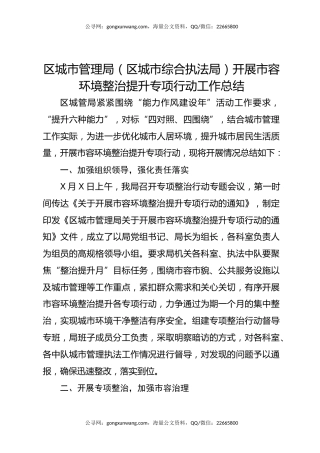区城市管理局（区城市综合执法局）开展市容环境整治提升专项行动工作总结