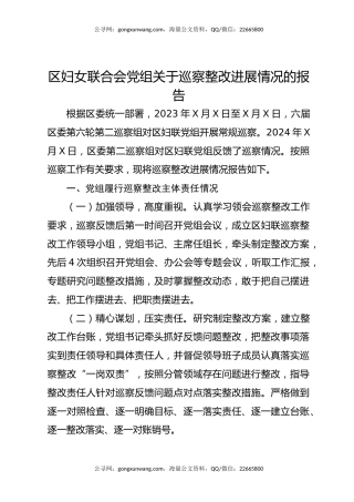 区妇女联合会党组关于巡察整改进展情况的报告