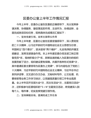 区委办公室上半年工作情况汇报