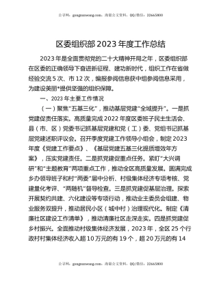 区委组织部2023年度工作总结