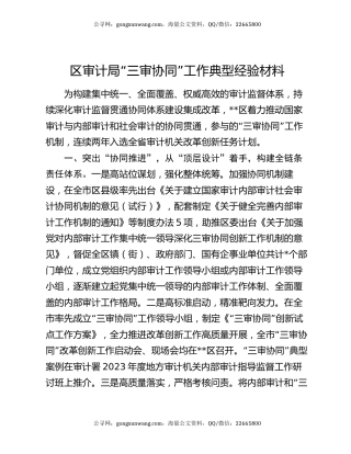 区审计局“三审协同”工作典型经验材料