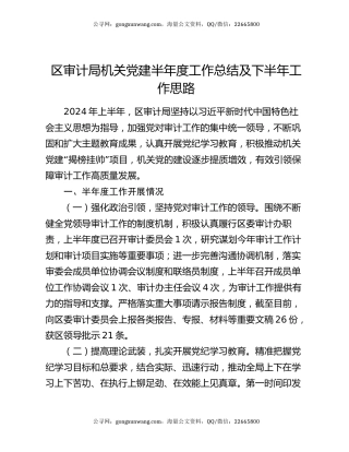 区审计局机关党建半年度工作总结及下半年工作思路