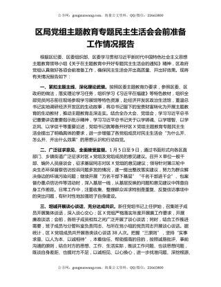 区局党组主题教育专题民主生活会会前准备工作情况报告