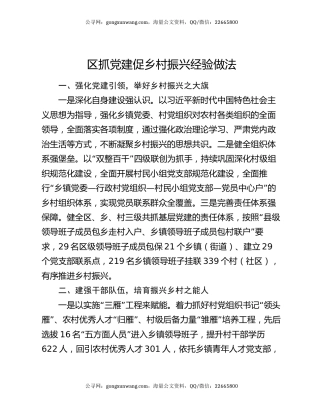 区抓党建促乡村振兴经验做法