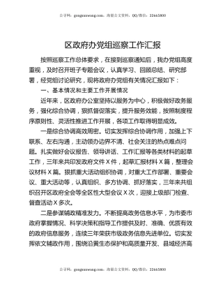 区政府办党组巡察工作汇报