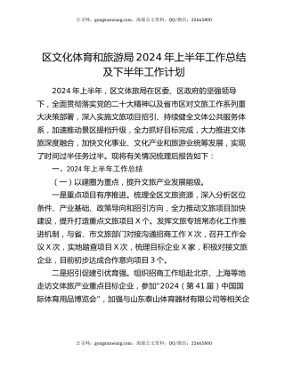 区文化体育和旅游局2024年上半年工作总结及下半年工作计划