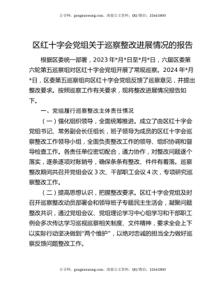 区红十字会党组关于巡察整改进展情况的报告