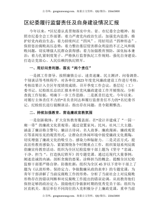 区纪委履行监督责任及自身建设情况汇报