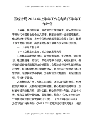 区统计局2024年上半年工作总结和下半年工作计划