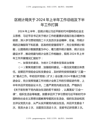 区统计局关于2024年上半年工作总结及下半年工作打算