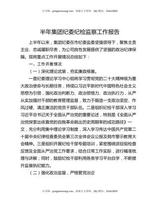 半年集团纪委纪检监察工作报告