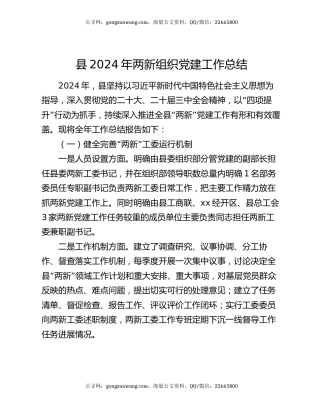 县2024年两新组织党建工作总结