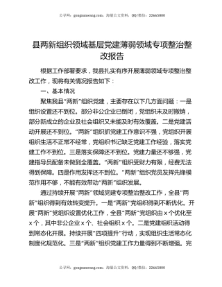 县两新组织领域基层党建薄弱领域专项整治整改报告