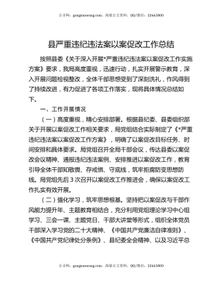 县严重违纪违法案以案促改工作总结